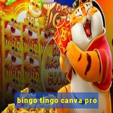 bingo tingo canva pro